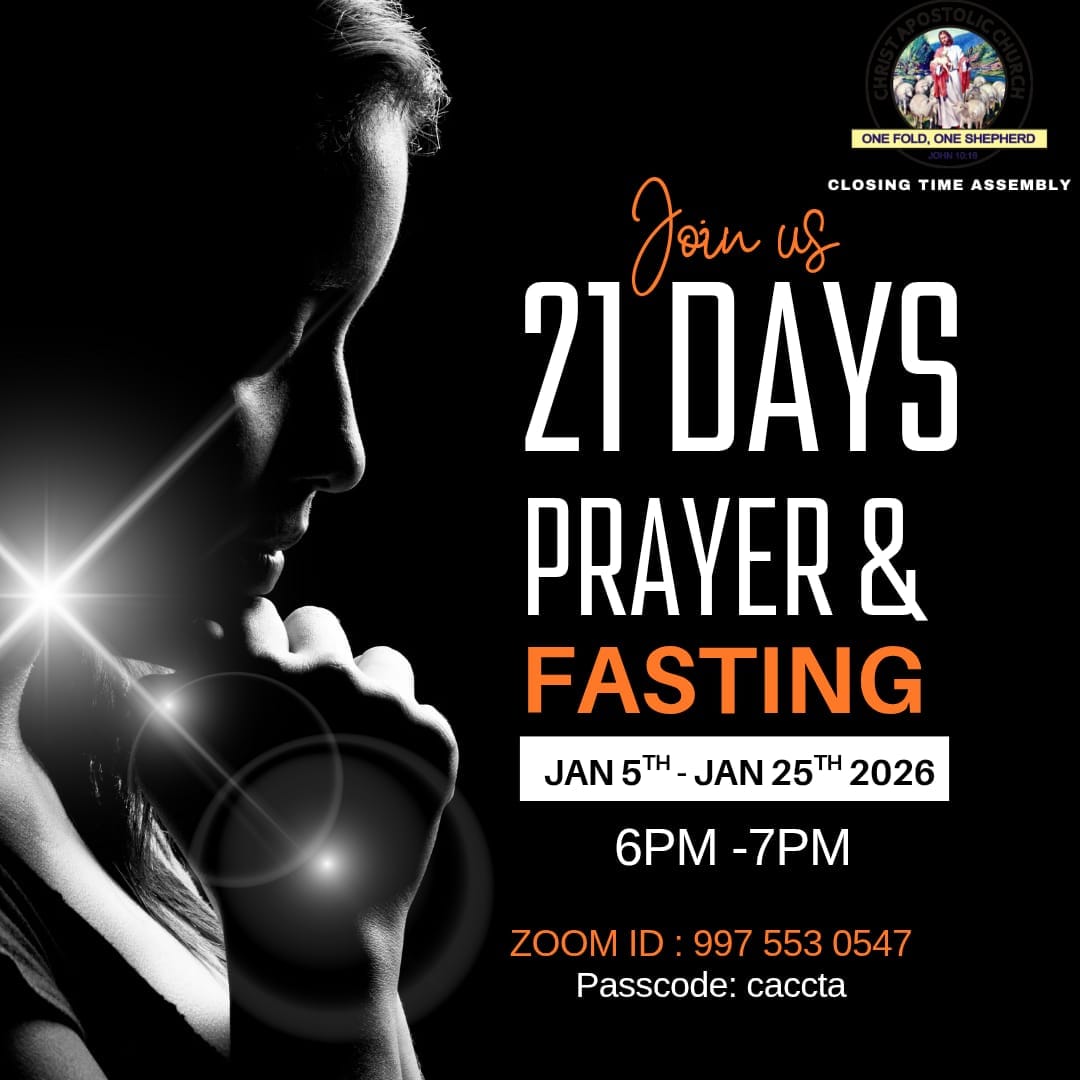 2025 cross over service